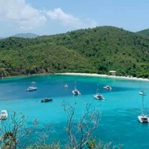 Meet your Posher, Jenifer